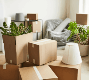 Other Occupiers in Lettings