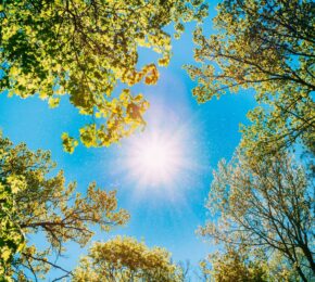 Plug-in Solar: What Landlords and Letting Agents Need to Know