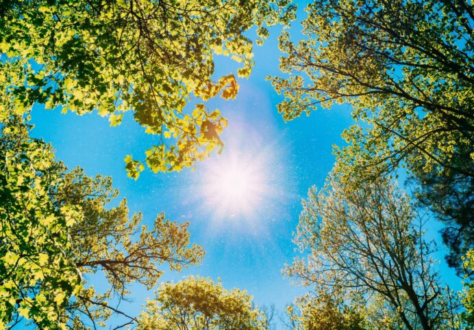 Plug-in Solar: What Landlords and Letting Agents Need to Know